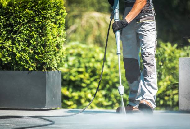 Best Sidewalk and Walkway Cleaning  in Web, AL